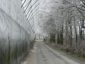 13 - 2006.02.03.Rijp golfbaan (8) Postweg