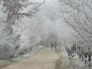 15 - 2006.02.03. Postweg - P1000604 (2)