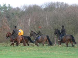 20 - 2007.12.09. Postweg - 510