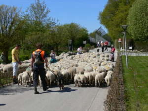 21 - 2016.05.05. Postweg -