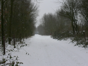 22 - 2010.01.10. Postweg - 12 - Postweg anno 2010 (2)