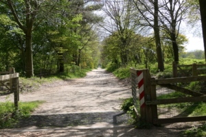 23 - 2022.04.21. - Postweg -