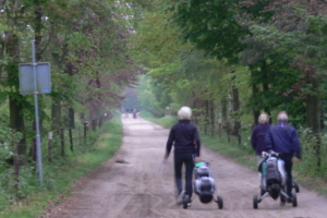 3 - 2010.05.13. Postweg - 3 - 2010.05.13. Postweg -