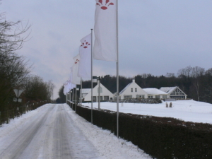 6 - 2010 - winterbeeld Postweg